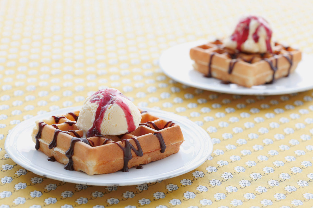 Vitantonio 窩夫烤盤 (替換用 / Vitantonio 多功能窩夫機專用)