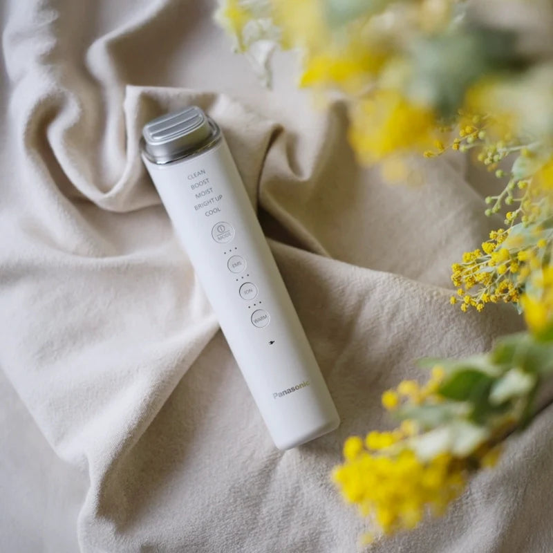 Panasonic IONBOOST MULTI EX | EH-SS85